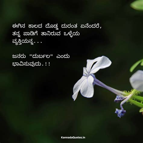 bet kannada meaning|Bet in Kannada .